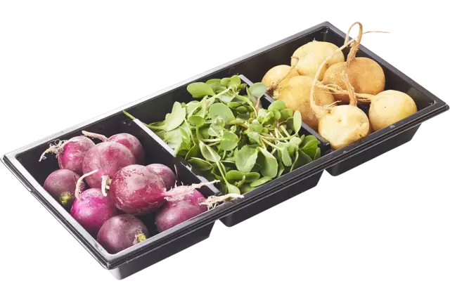 Trio de radis en plat pièce